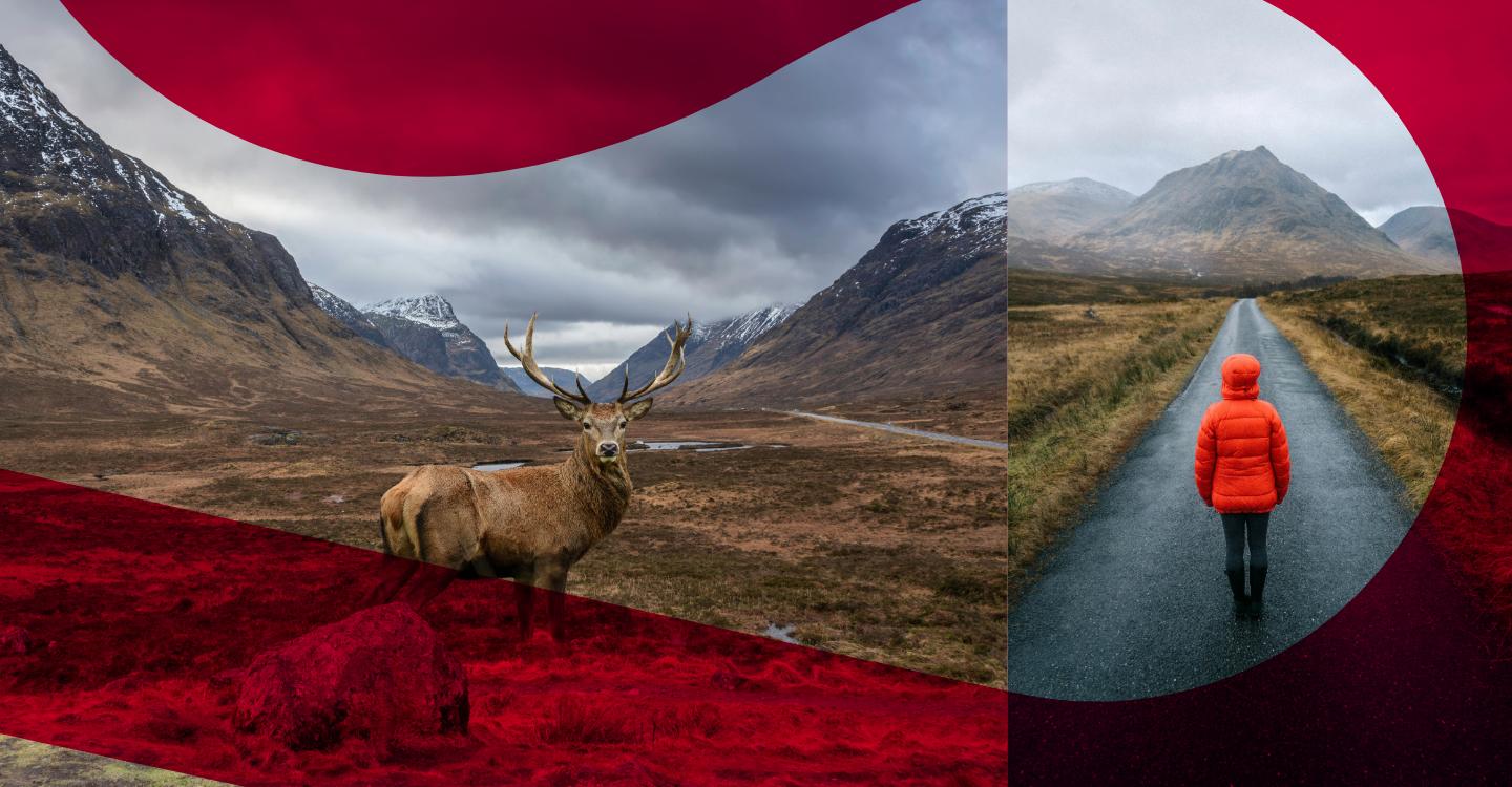 The Wildlife Management and Muirburn (Scotland) Act 2024 – navigating the Mooreland